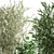 White Pot Collection: Exotic Plants 3D model small image 4