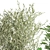 White Pot Collection: Exotic Plants 3D model small image 6