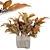 Decorative Dried Plant Collection Pack 3D model small image 1