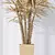 Rhapis Excelsa Lady Palm Set 3D model small image 5