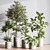 Modern Indoor Plant Set 051 3D model small image 2