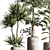 Modern Indoor Plant Set 051 3D model small image 5