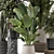 Modern Indoor Plants with Bau Pot - Set 1848 3D model small image 2