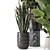 Modern Indoor Plants with Bau Pot - Set 1848 3D model small image 5