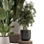 Modern Indoor Plants with Bau Pot - Set 1848 3D model small image 6