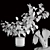 3D Plant & Decor Collection 3D model small image 7