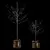  Black Oak Trees with Garland 3D model small image 2