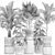 Tropical Plant Collection in Modern White Pots 3D model small image 6