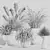 Pampas Grass Indoor Ornamental Plant 3D model small image 7