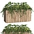 Potted Plants Box Set 64 3D model small image 1