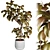 3D Model Set Plant Chandelier 3D model small image 1
