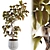 3D Model Set Plant Chandelier 3D model small image 2