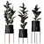 Elegant Rubber Ficus Melany Set 3D model small image 1
