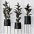 Elegant Rubber Ficus Melany Set 3D model small image 2