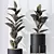 Elegant Rubber Ficus Melany Set 3D model small image 3