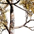 Seasonal Gum Trees Pack 3D model small image 3