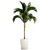 Exotic Phoenix Palm Collection 3D model small image 5