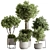 Indoor Tree in Pot 629 3D model small image 1