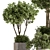 Indoor Tree in Pot 629 3D model small image 5