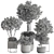 Indoor Tree in Pot 629 3D model small image 6