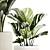 Exotic Plant Collection - Modern White Pot Display 3D model small image 3