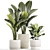 Exotic Plant Collection - Modern White Pot Display 3D model small image 5