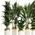 Premium Indoor Plants Set 68 3D model small image 2