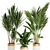 Premium Indoor Plants Set 68 3D model small image 5