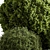 Evergreen Topiary Ball Bush 126 3D model small image 4