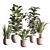 Sleek Indoor Plant Set 3D model small image 1