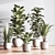 Sleek Indoor Plant Set 3D model small image 2