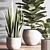 Sleek Indoor Plant Set 3D model small image 4