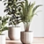 Sleek Indoor Plant Set 3D model small image 5