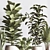 Sleek Indoor Plant Set 3D model small image 6