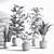 Sleek Indoor Plant Set 3D model small image 7