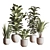 Sleek Indoor Plant Set 3D model small image 9