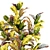 Tropical Croton in Modern Pot 3D model small image 2