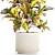 Tropical Croton in Modern Pot 3D model small image 4