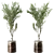 Modern Metal Potted Live Plant 3D model small image 2