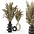 Elegant Dry Plants Bouquet Set 3D model small image 1