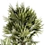 Modern Plant Collection 1448 3D model small image 4