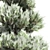 Winter Pine Tree Collection 3D model small image 3