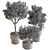 Potted Tree - Indoor Decor 3D model small image 6