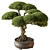 Miniature Bonsai Tree 639 3D model small image 1