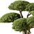 Miniature Bonsai Tree 639 3D model small image 2