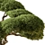 Miniature Bonsai Tree 639 3D model small image 3