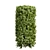 Lush Cylinder Plant Collection 552 3D model small image 3