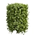 Lush Cylinder Plant Collection 552 3D model small image 4