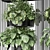 Exquisite Indoor Plants Collection 3D model small image 2