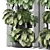Exquisite Indoor Plants Collection 3D model small image 4